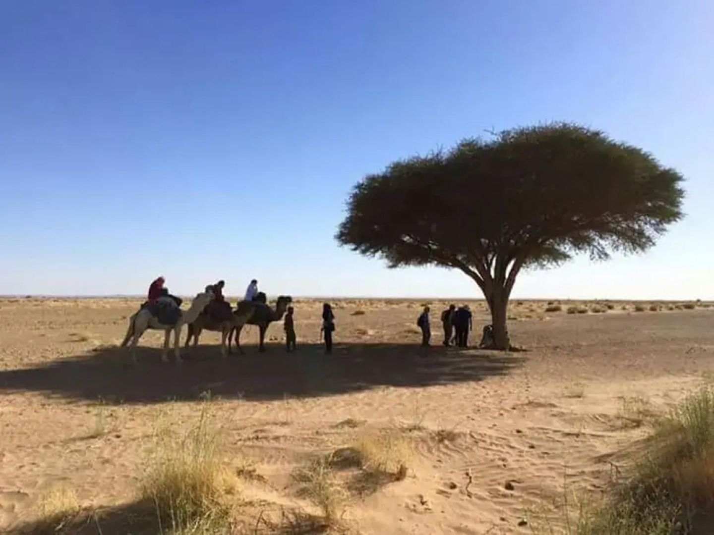 Bivouac Bader Monika Tamegroute