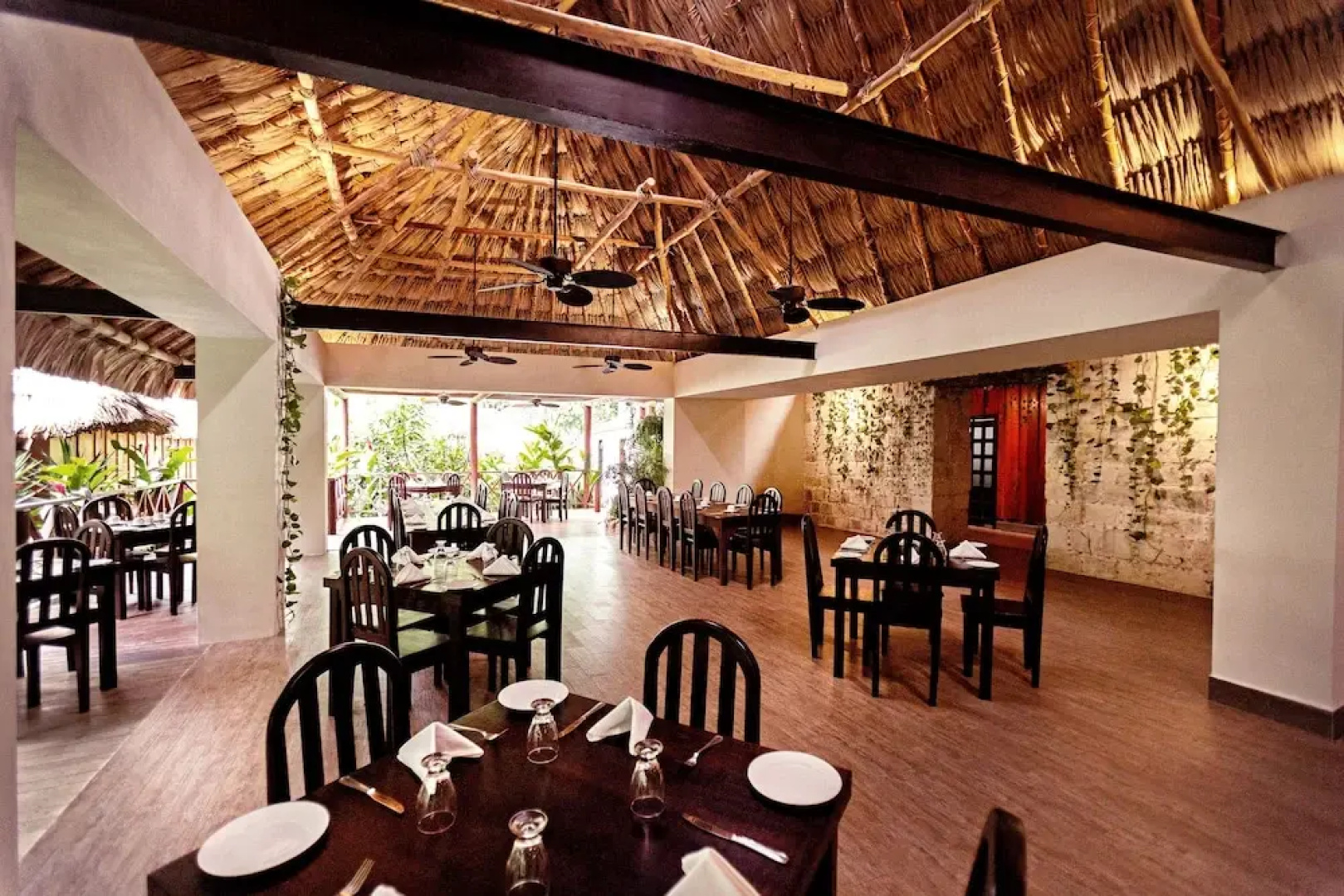 Jungle Lodge Hotel