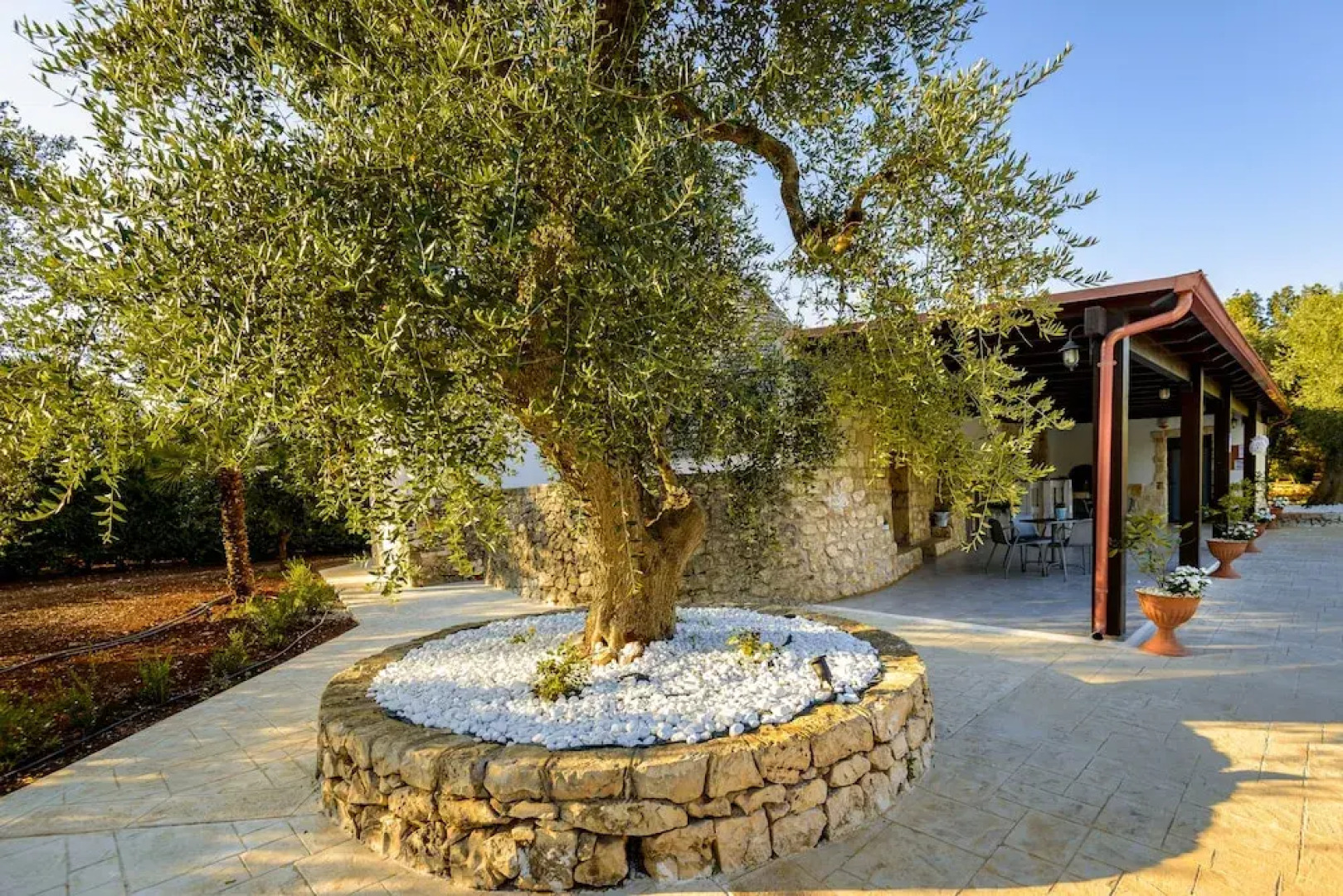 Trullo degli Augelli