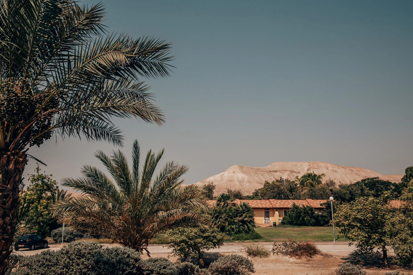 SEVEN Almog
