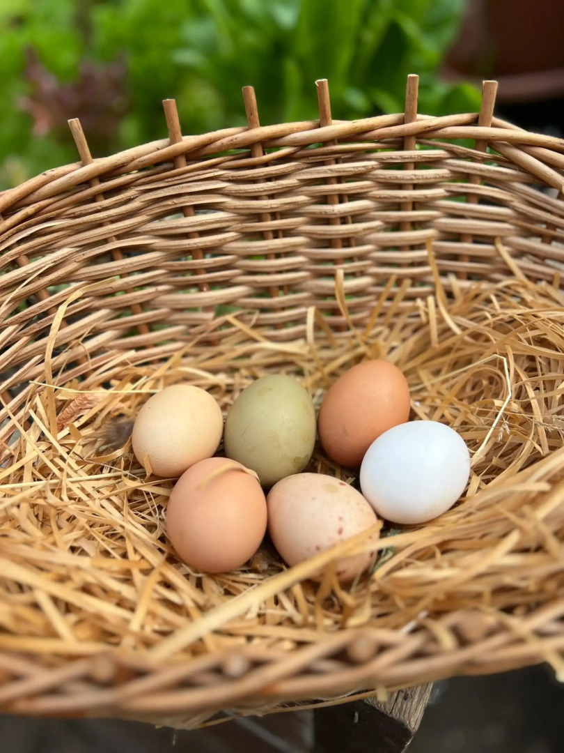 Ron De Mar #3 modern room