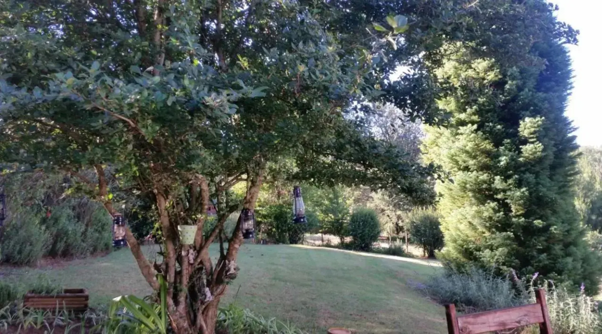 Woodcutters Guest House & Cottage