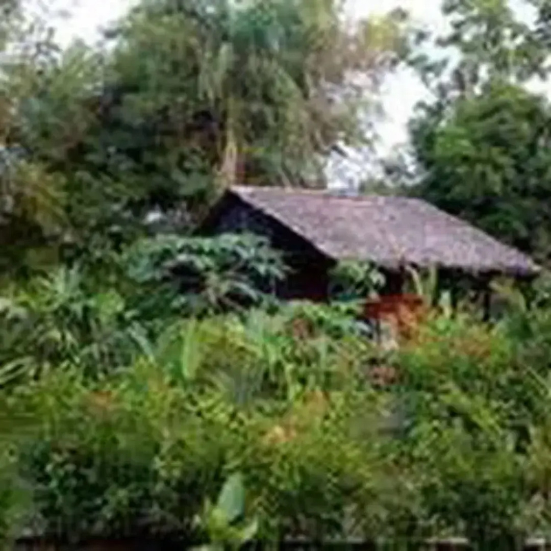 Rio Mar Bahía Solano Choco Colombia