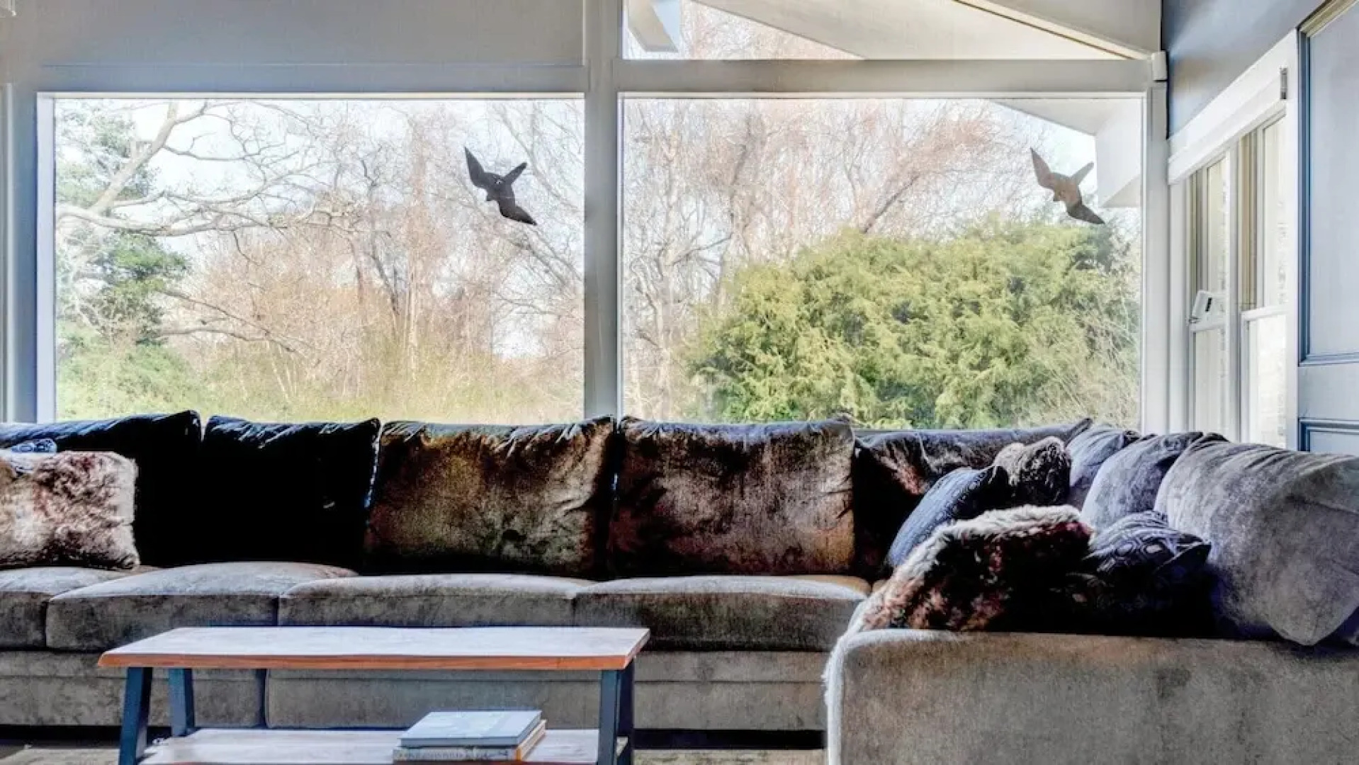 Shinnecock Sanctuary