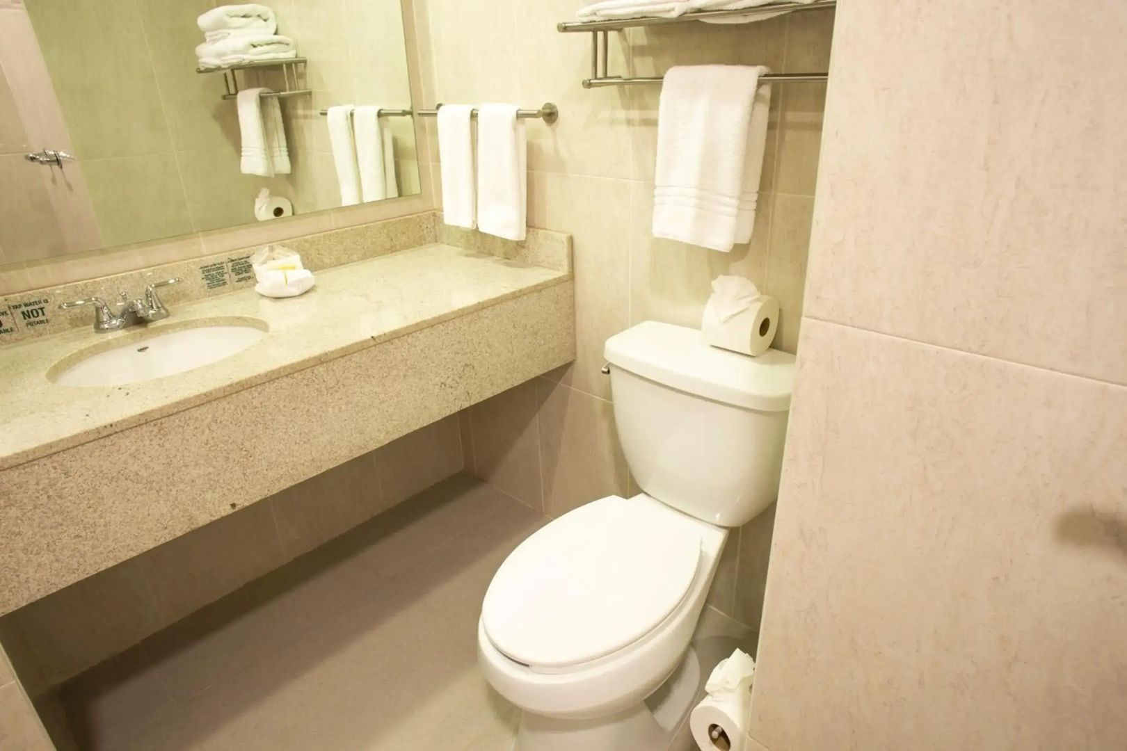 Hotel Plaza Calzada
