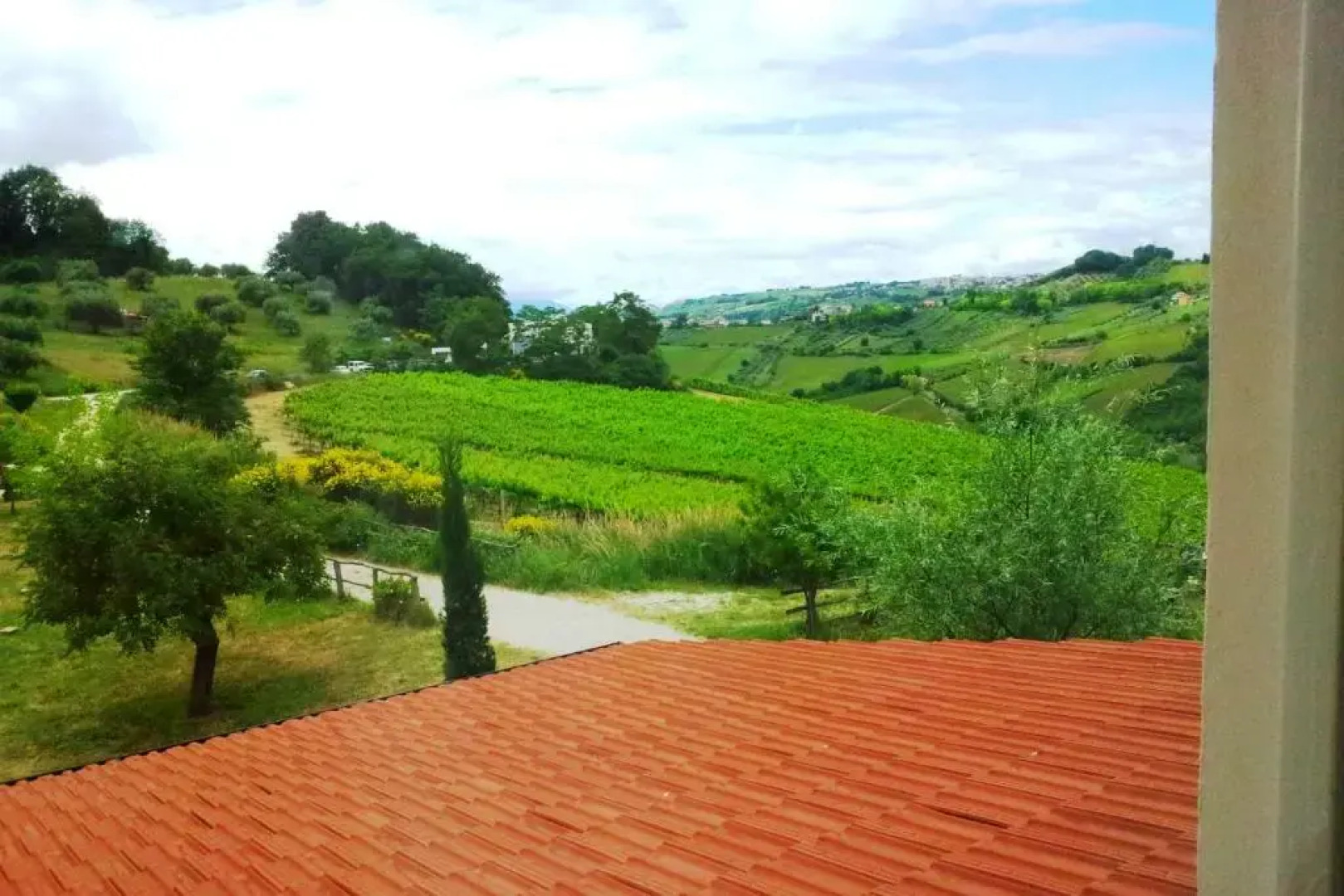 Agriturismo Campoletizia