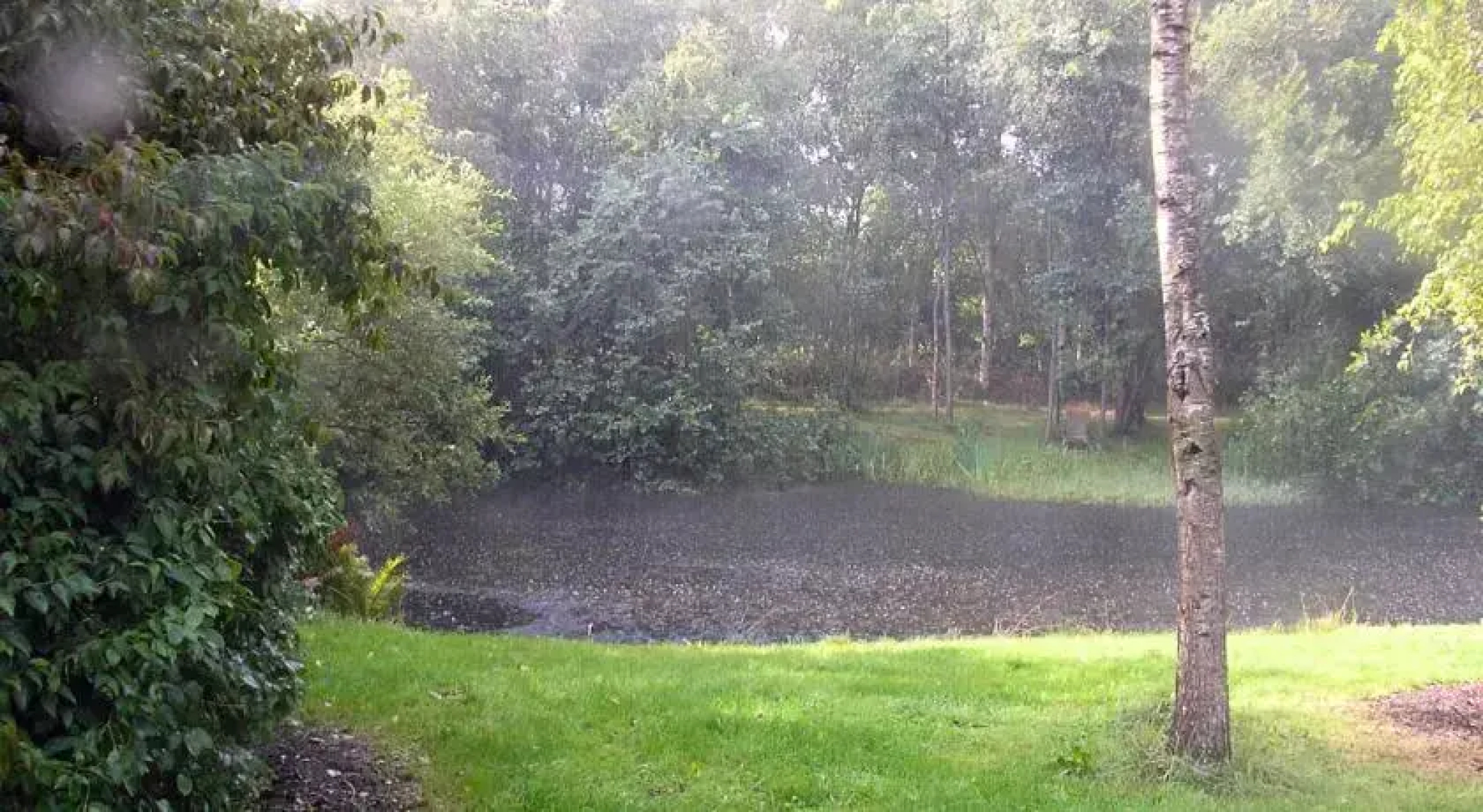 B&B t Woudsebos