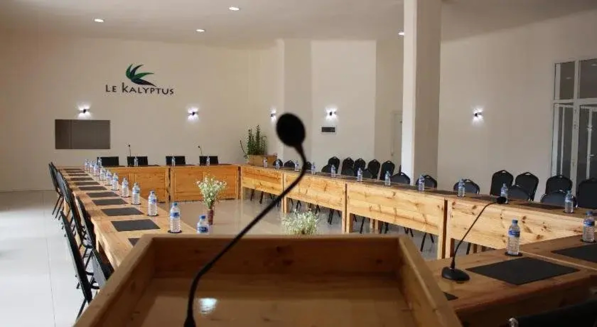 Le Kalyptus