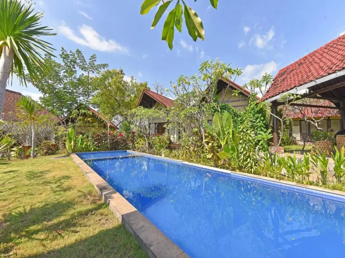 OYO 91191 Lovina Dolphin Lodge