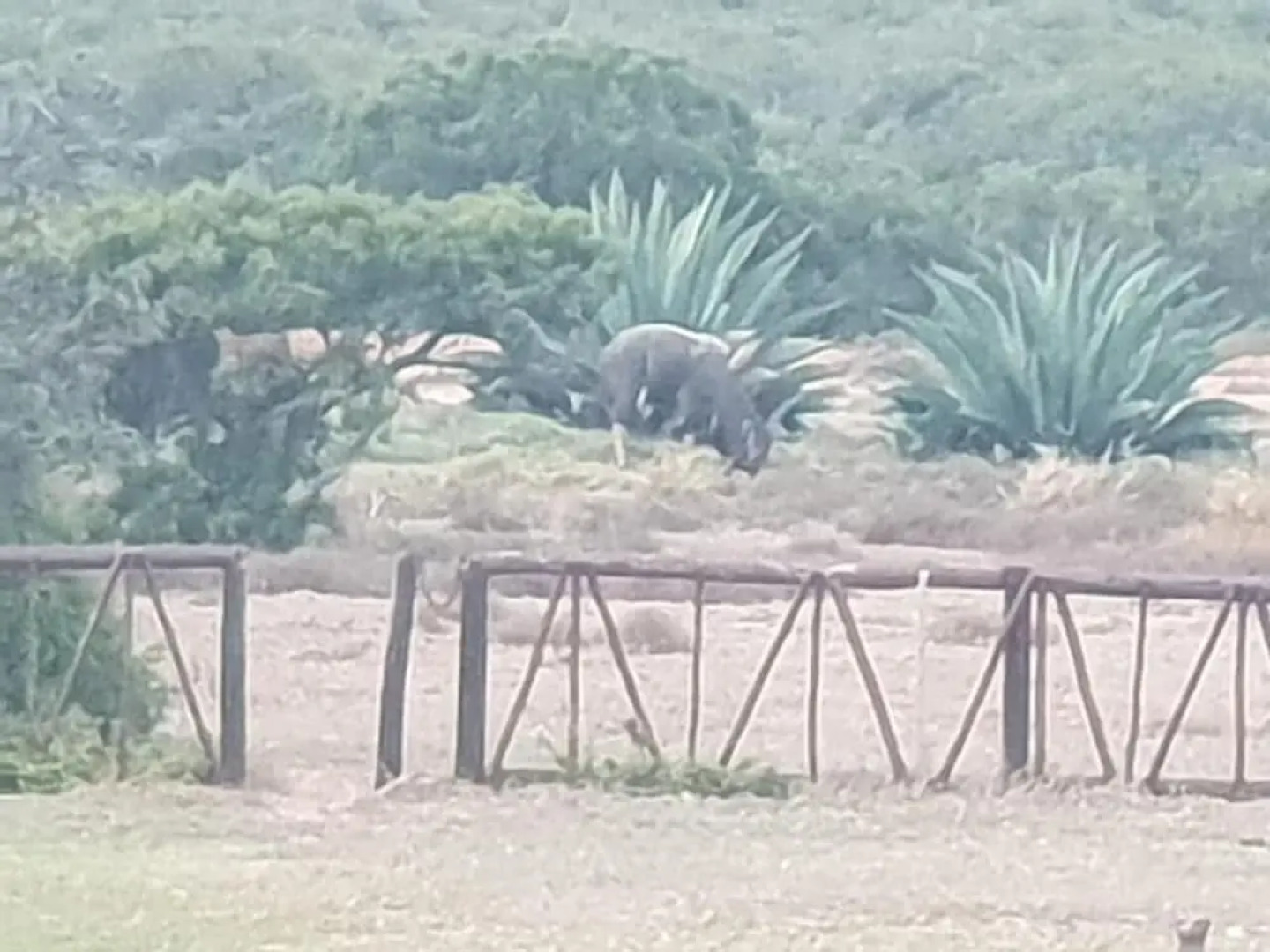 Charihandra Game Lodge