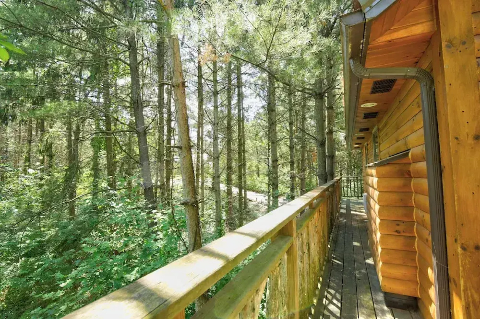 Pine Cove Lodging