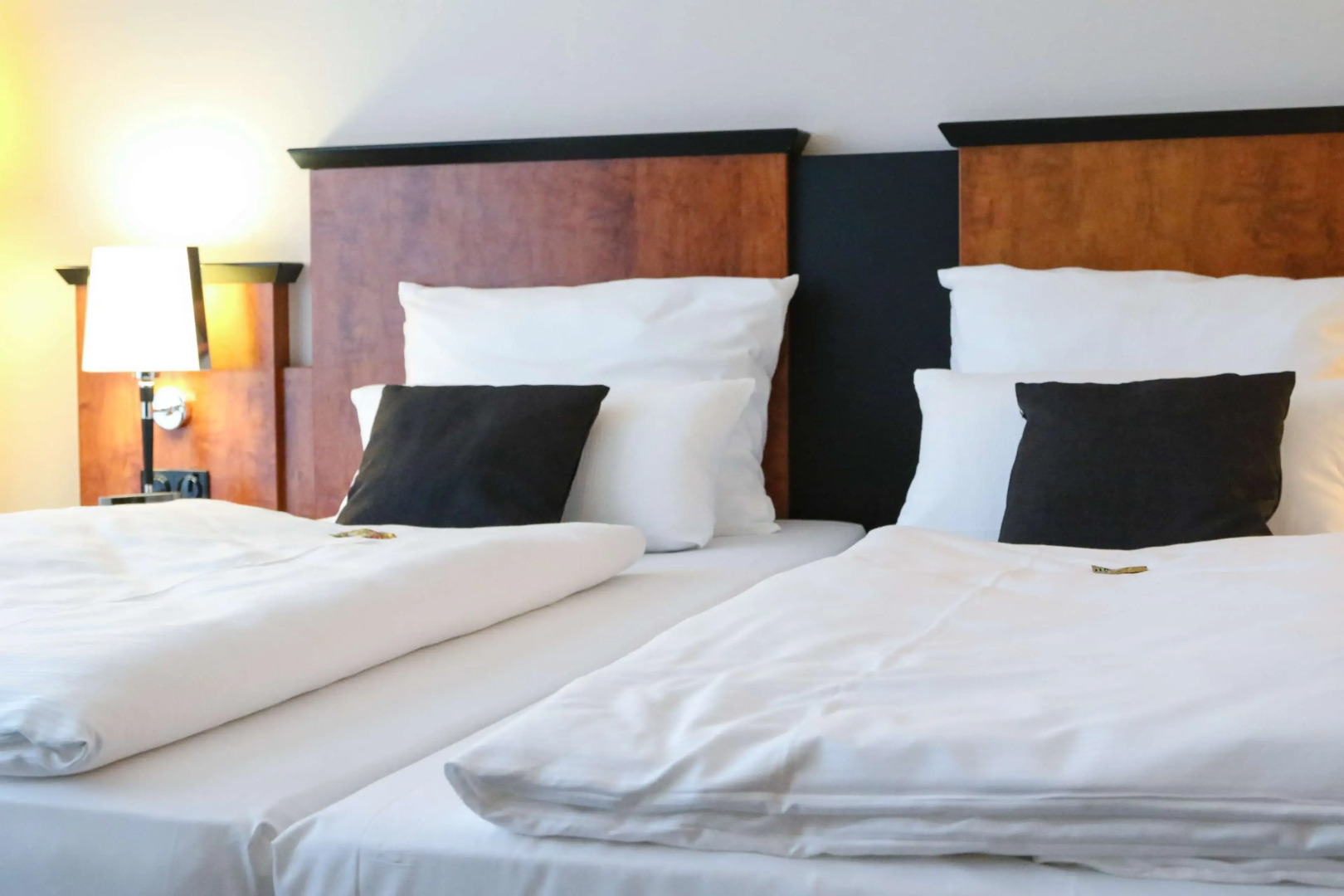 Отель Amedia Frankfurt Russelsheim Trademark Collection by Wyndham