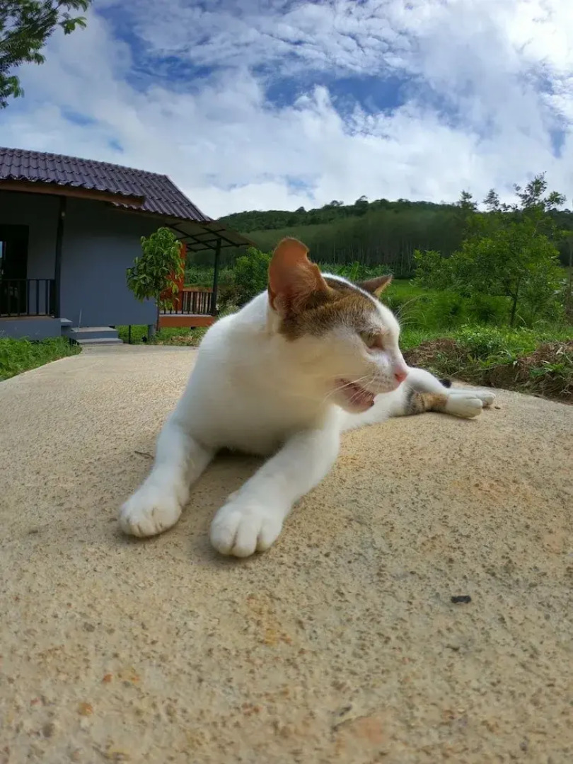 Green Mountain Resort Koh Yao