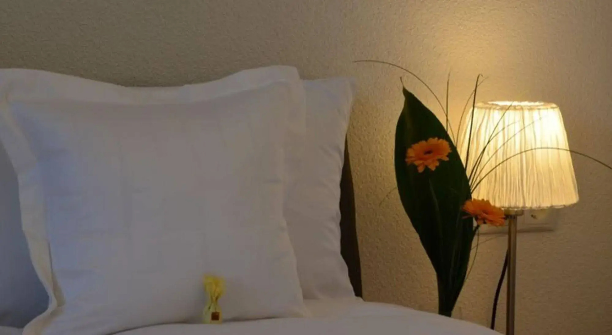 Alpen-Appartements Zürcher