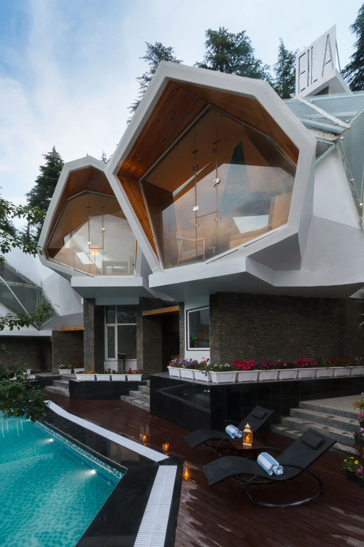 Tree of Life Eila Art Hotel