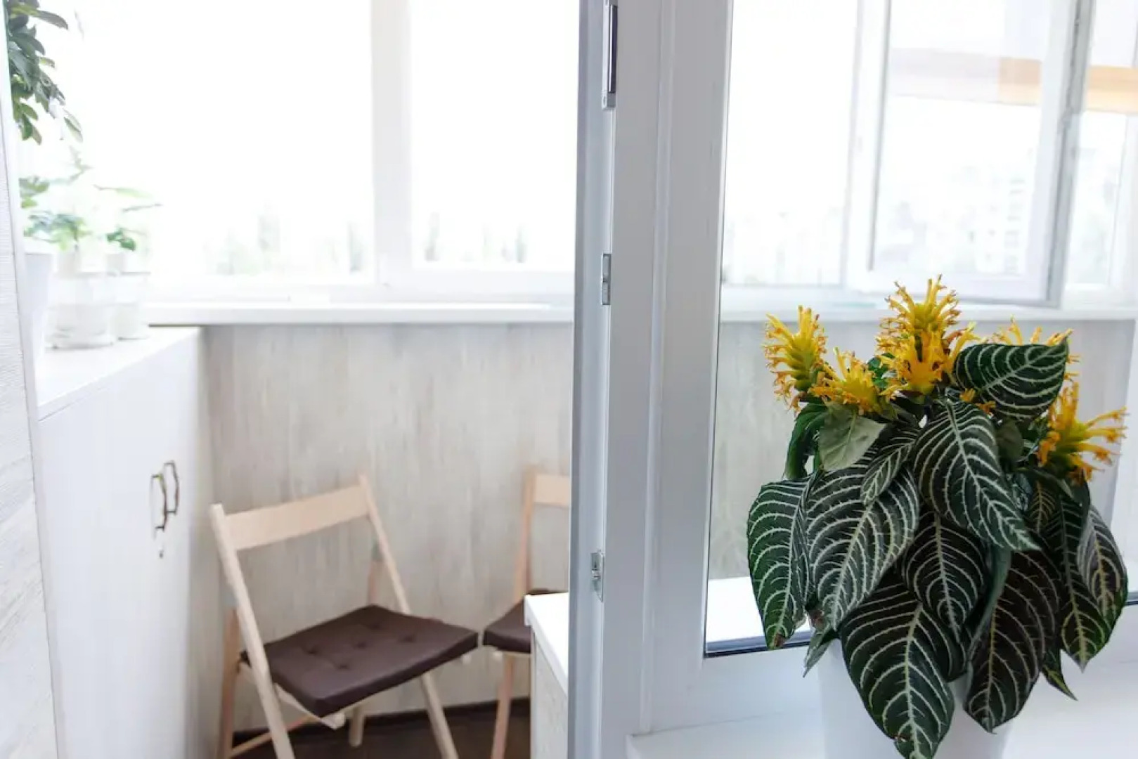 Королевский «люкс» у озера