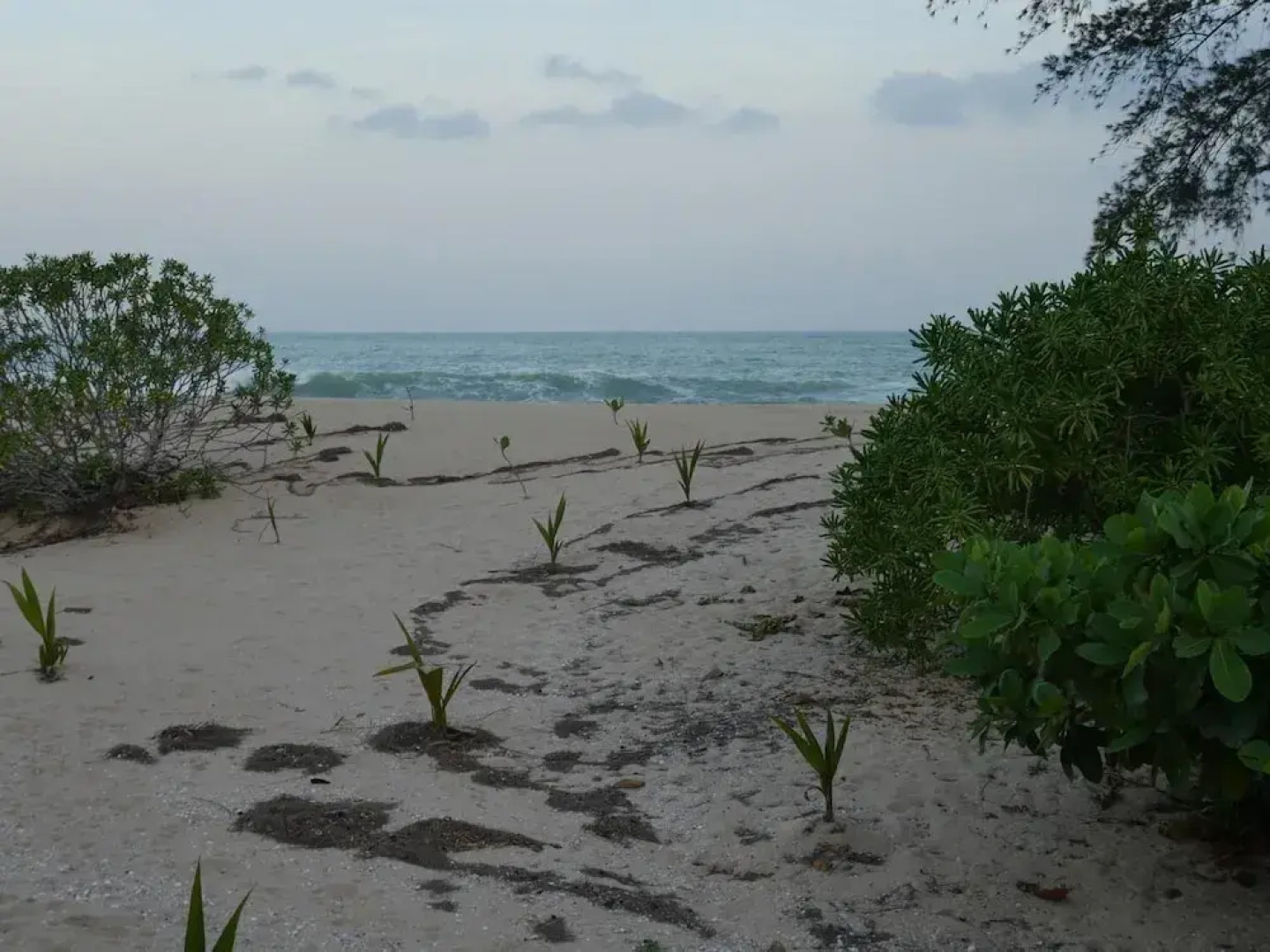 Medilla island resort