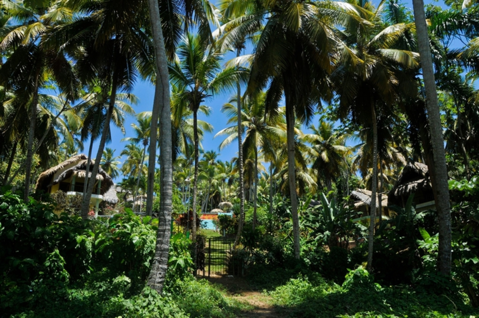 Las Ballenas Escondidas