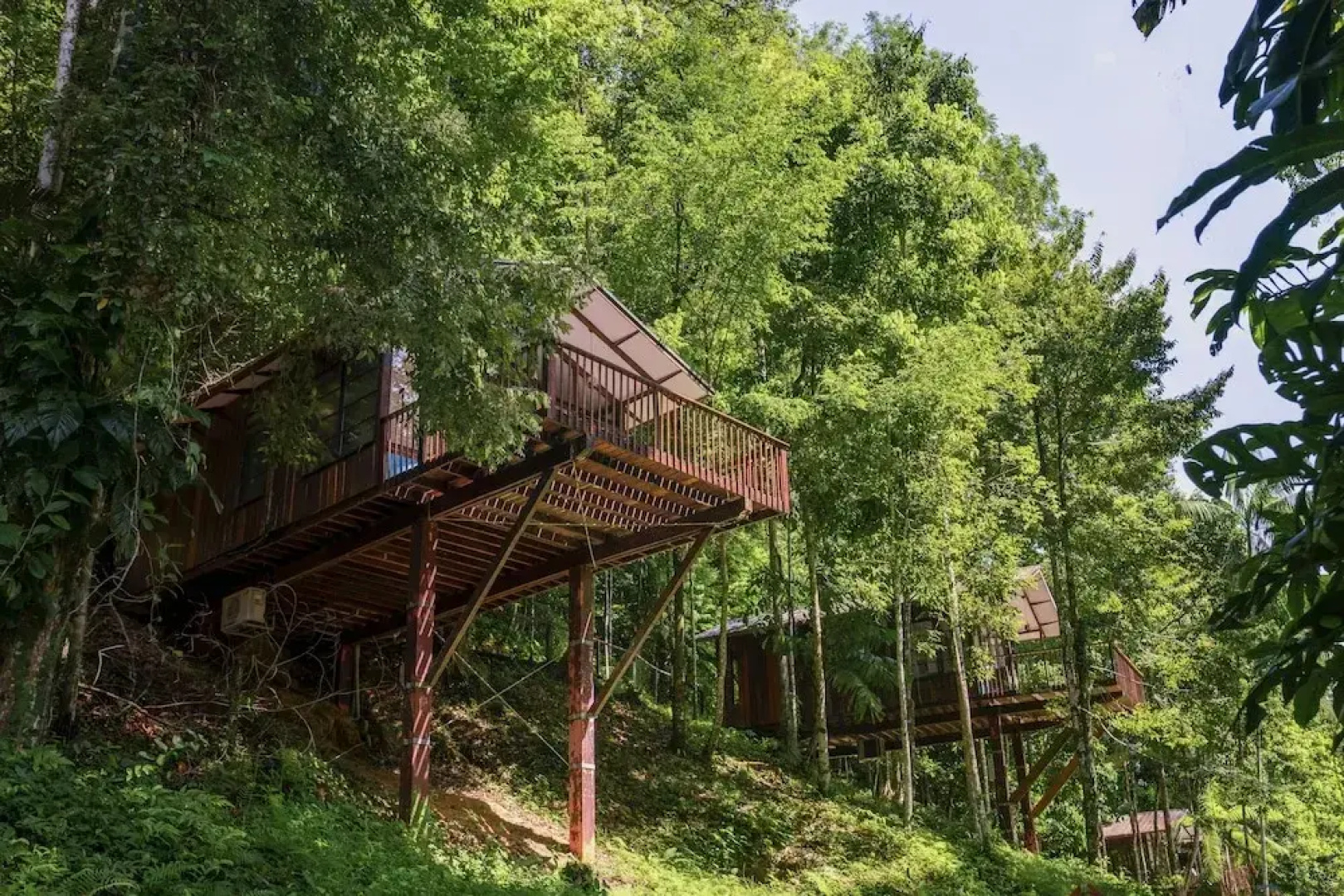 Bergendal Amazonia Wellness Resort