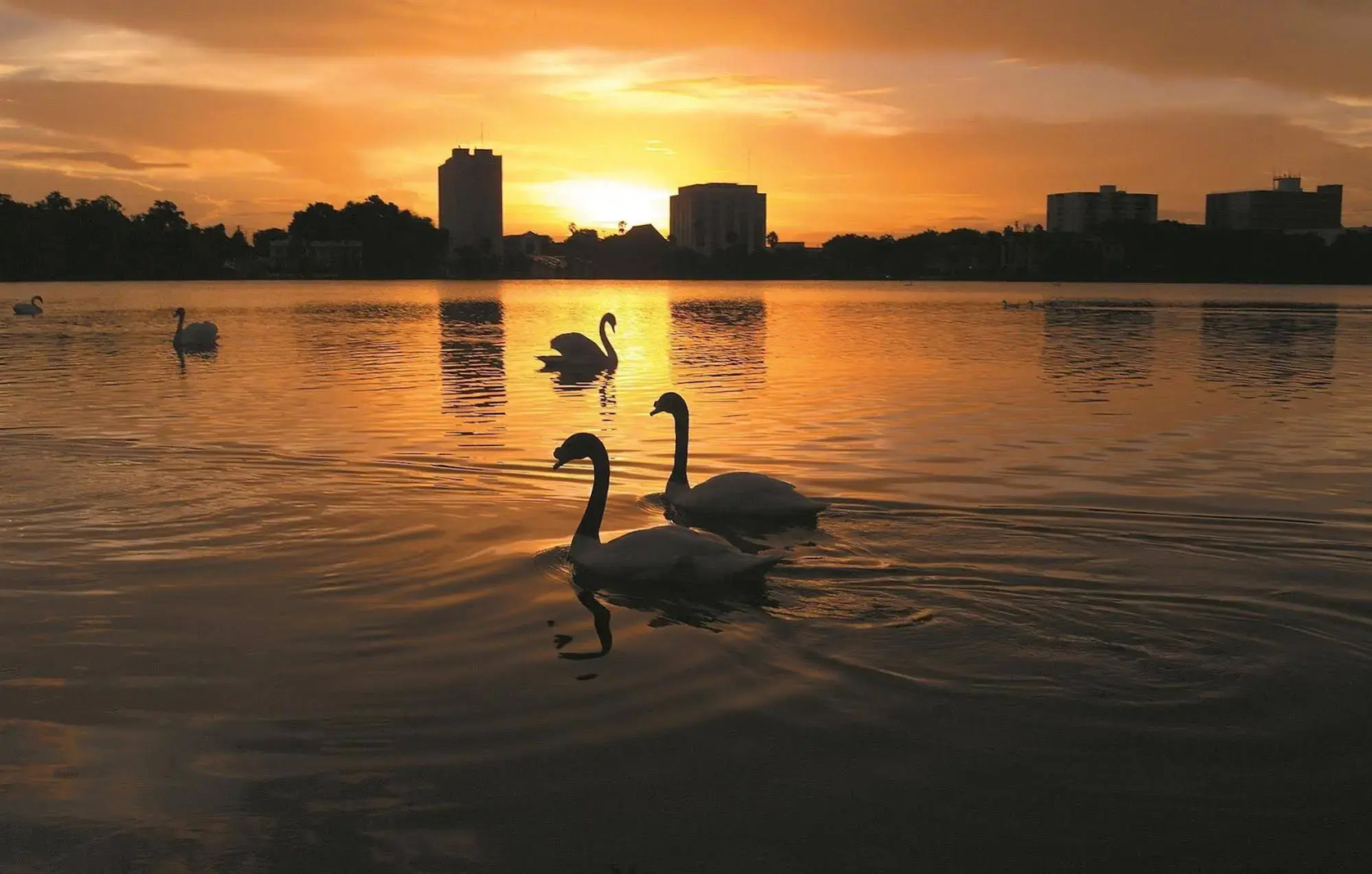 Best Western Auburndale Inn & Suites