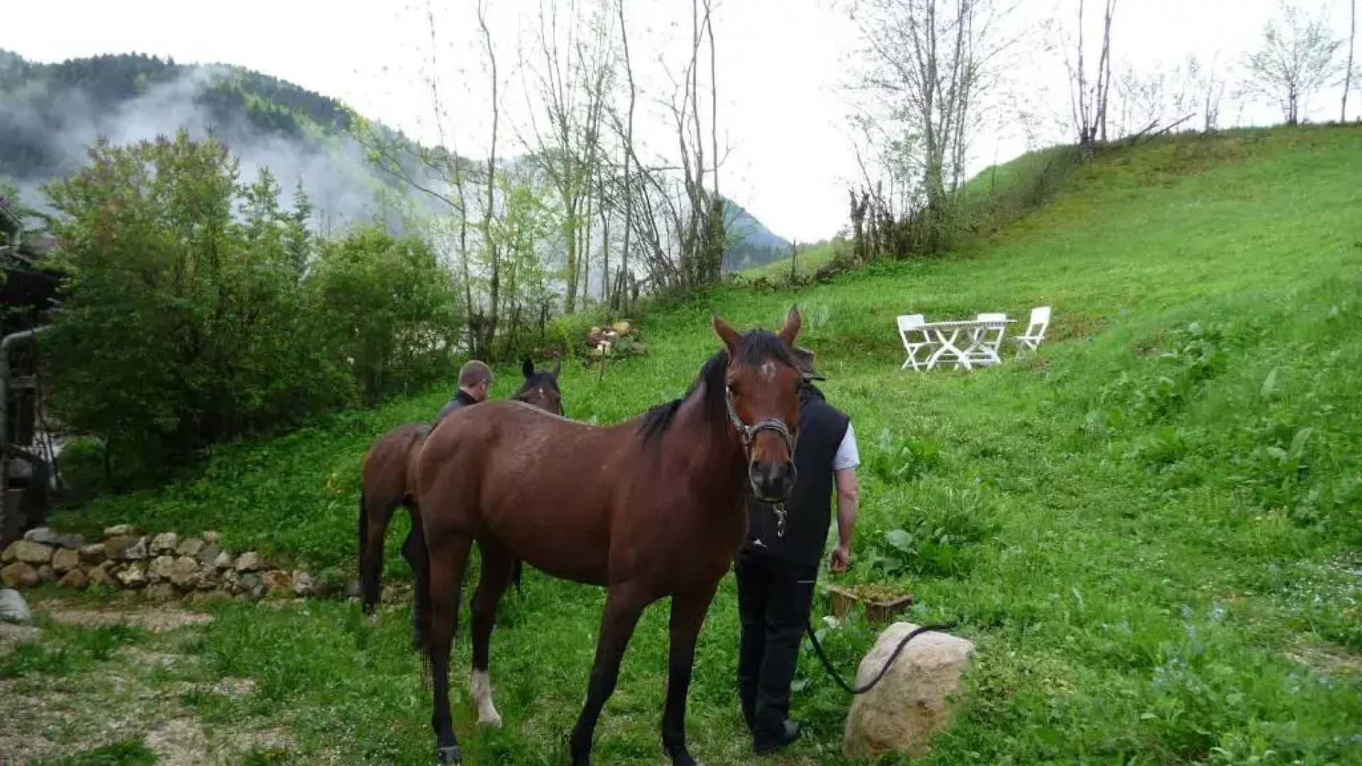 La Chouette à lheure du Pinson