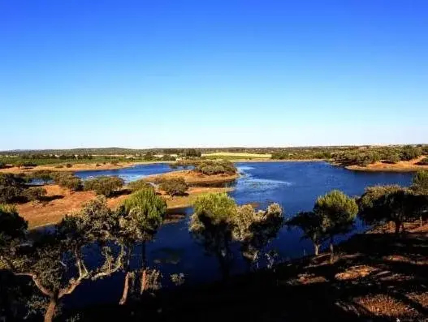 Herdade da Calada