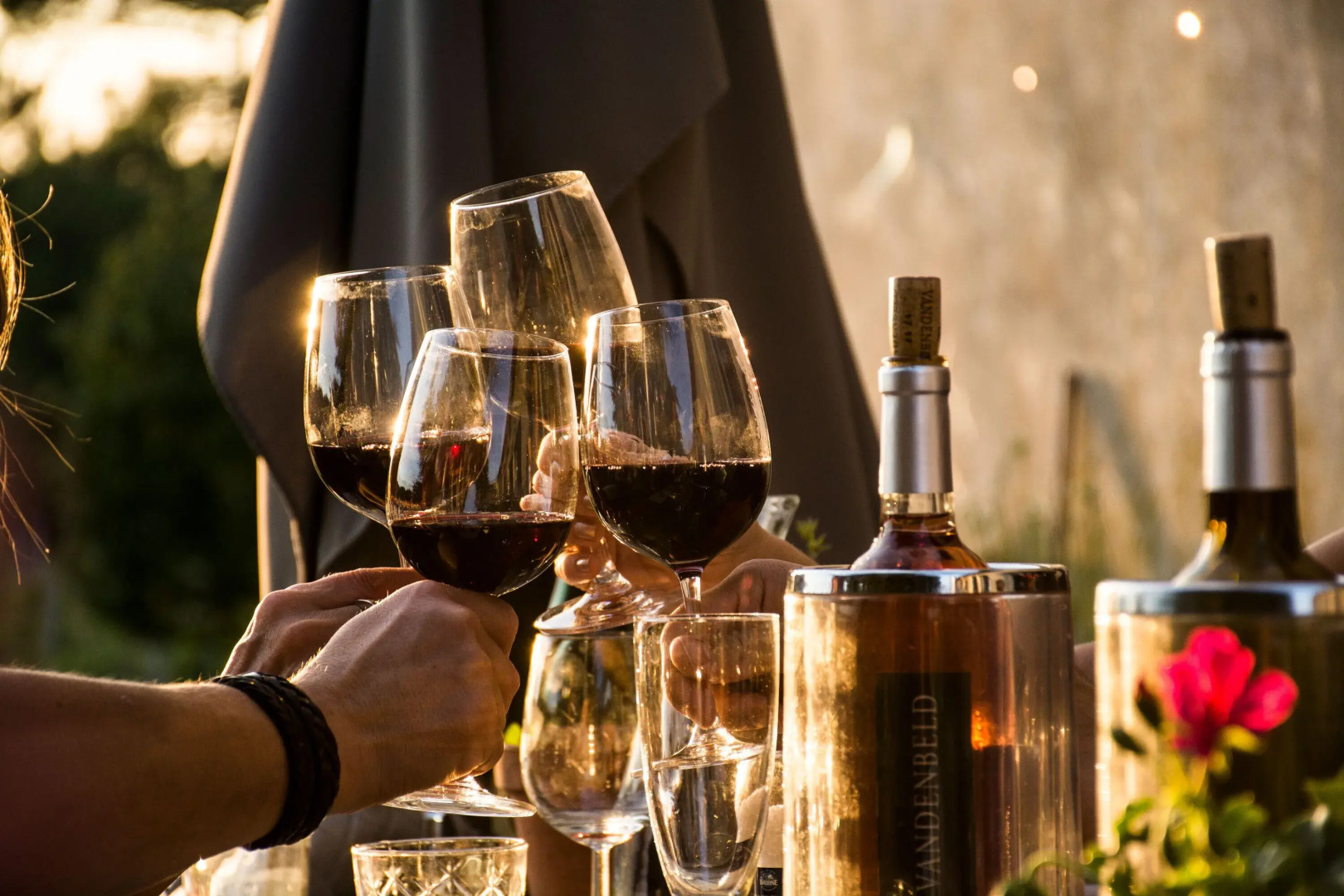 VANDENBELD Wines B&B