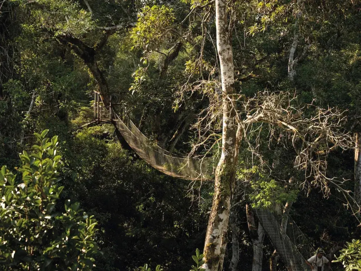 Inkaterra Reserva Amazonica