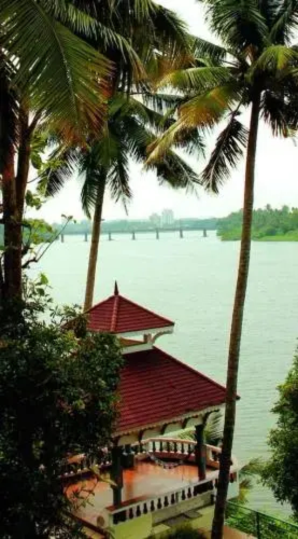The Health Village
