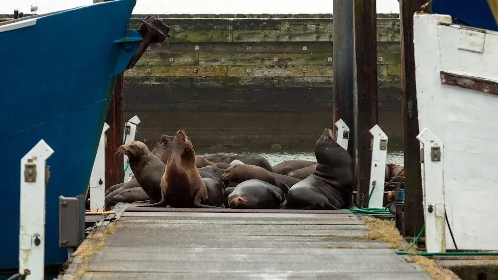 Pacific Motel and RV Park