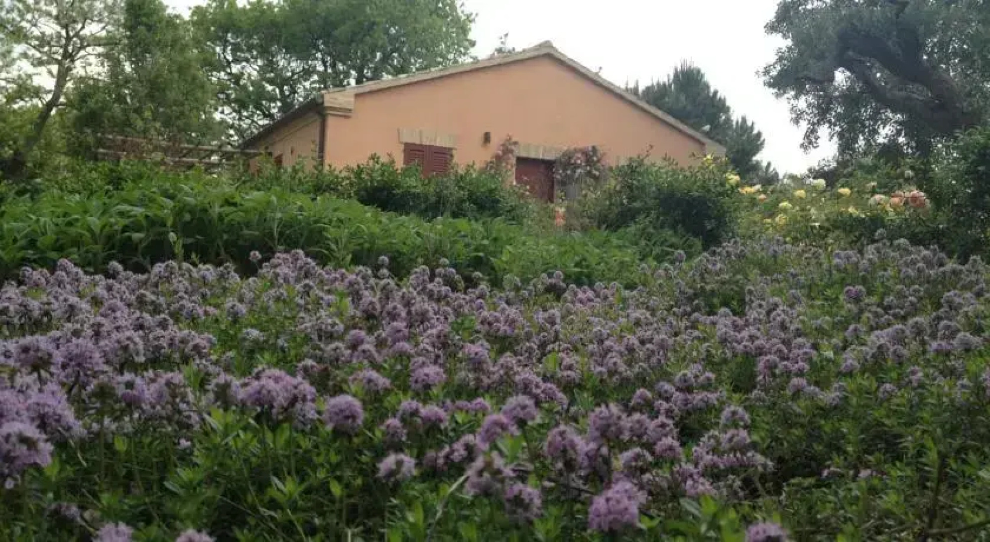 Bed & Breakfast Villa Marchesa