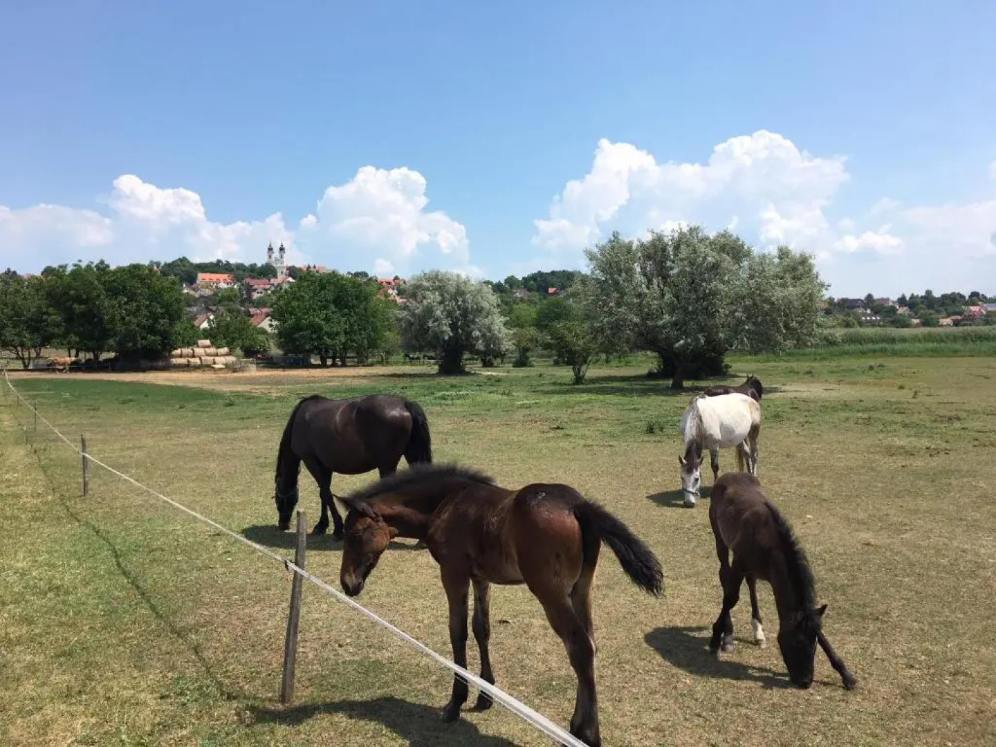 The Houses of History - anno 1830