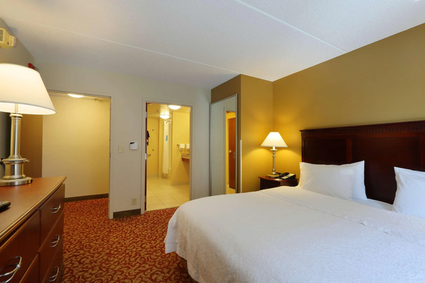 Hampton Inn & Suites Charlottesville-At the University