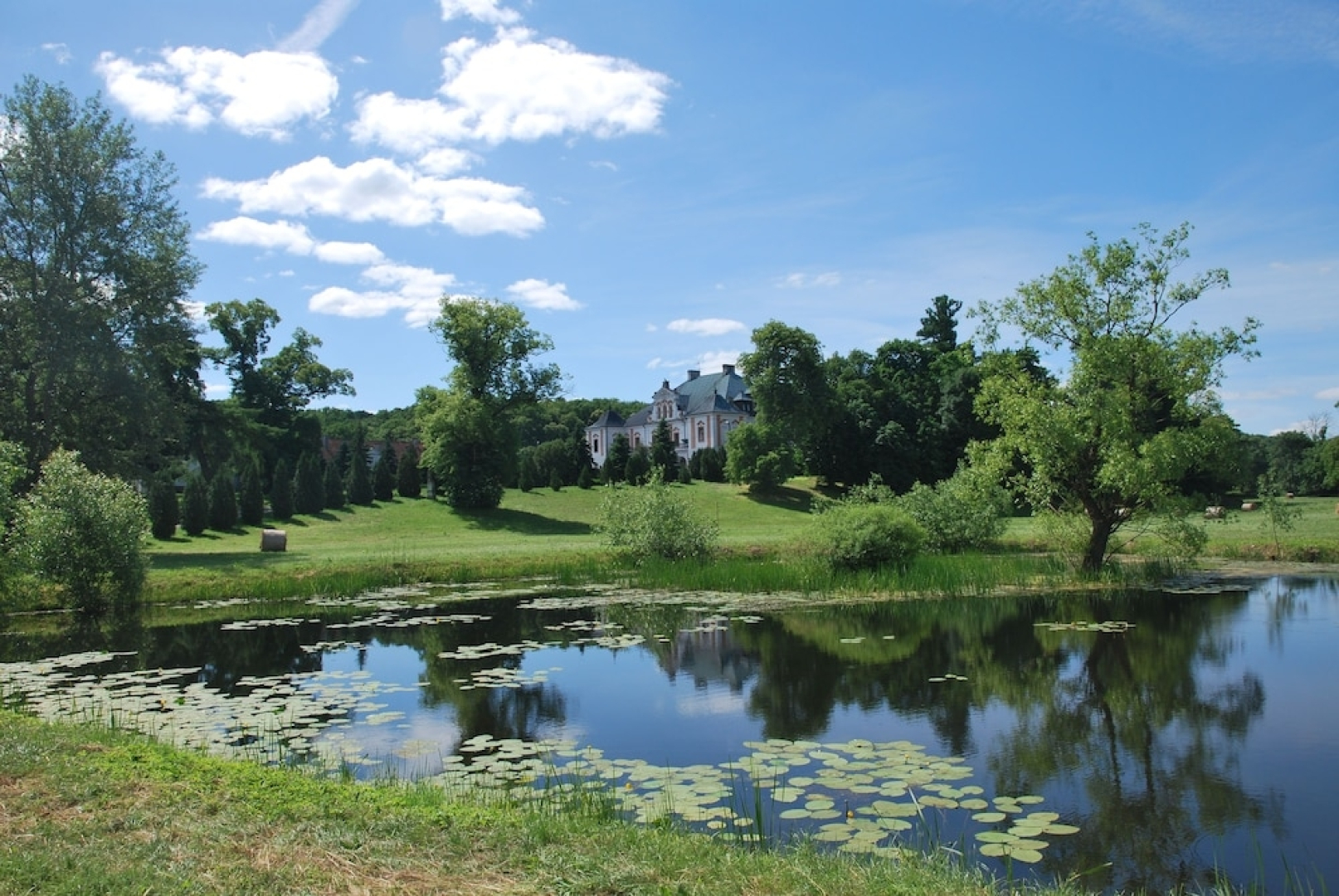 Palac w Czyzowie szlacheckim