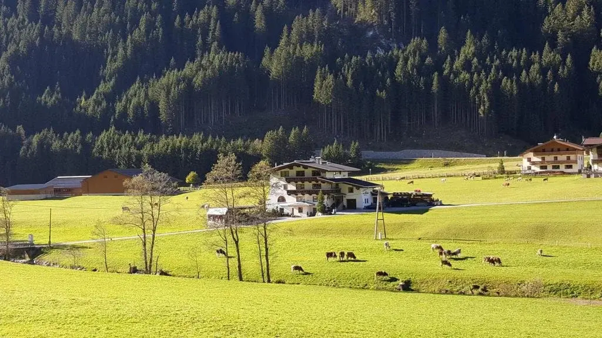 Haus Marchegg
