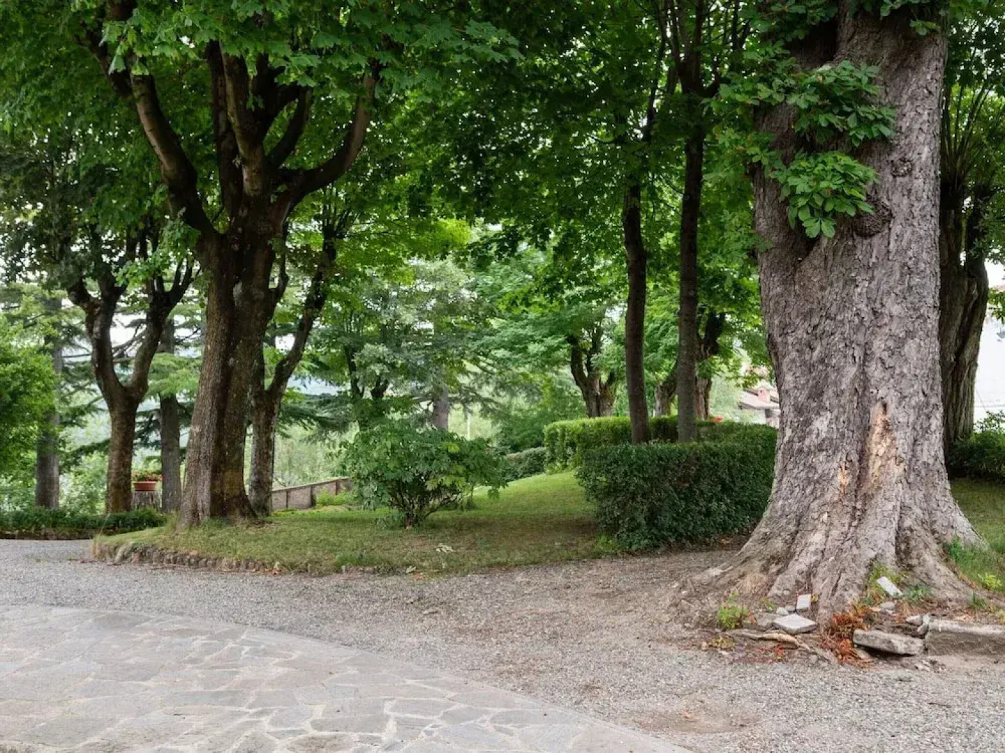 Mansion in Ovada With Pool and Scenic Hills