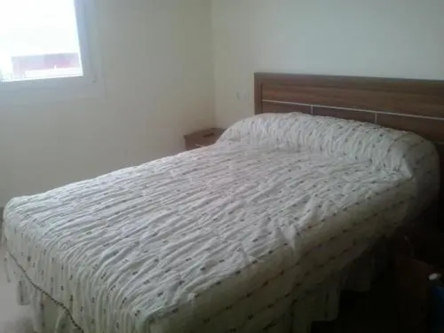 Apartamentos Alejandra