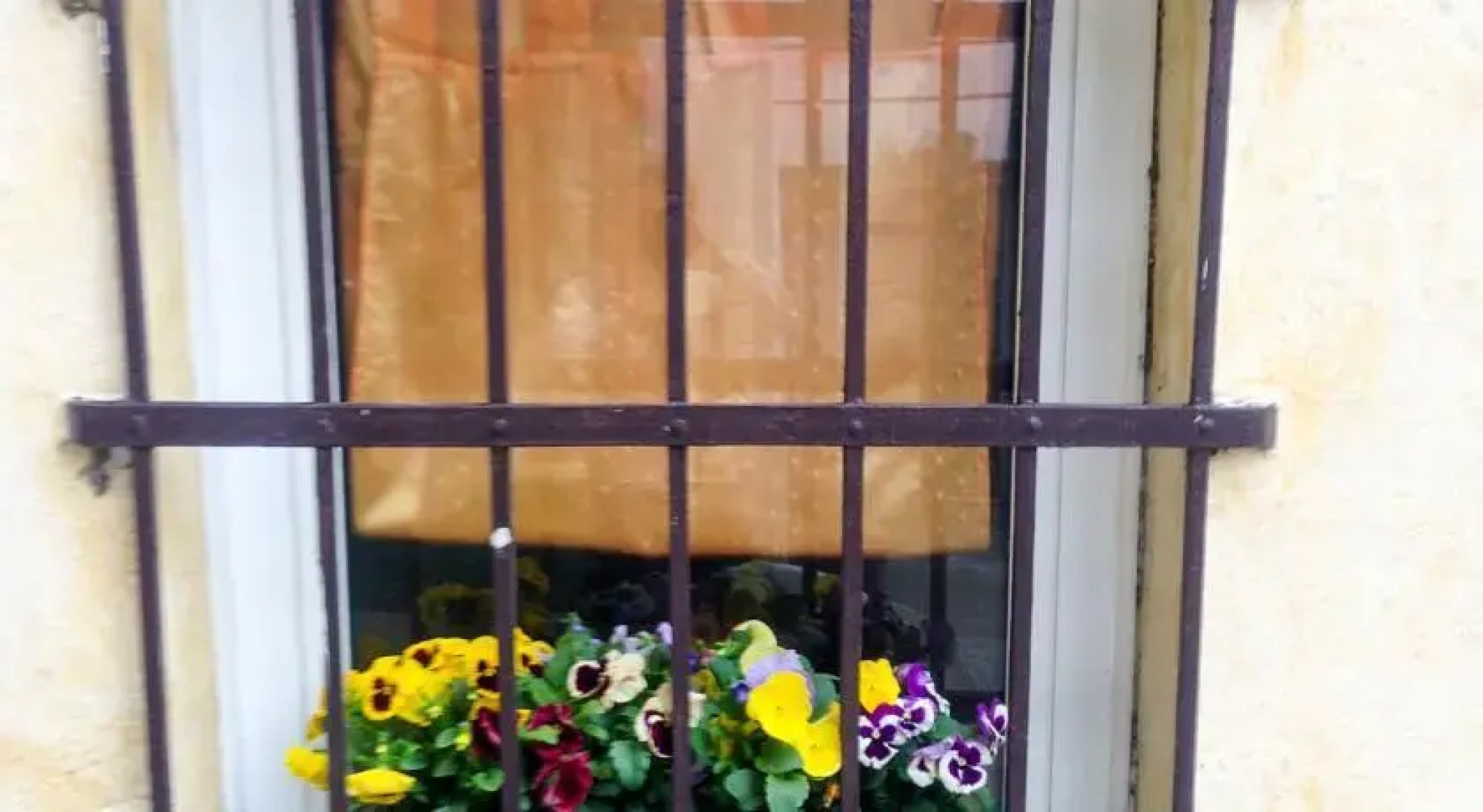 La Tana del Bianconiglio