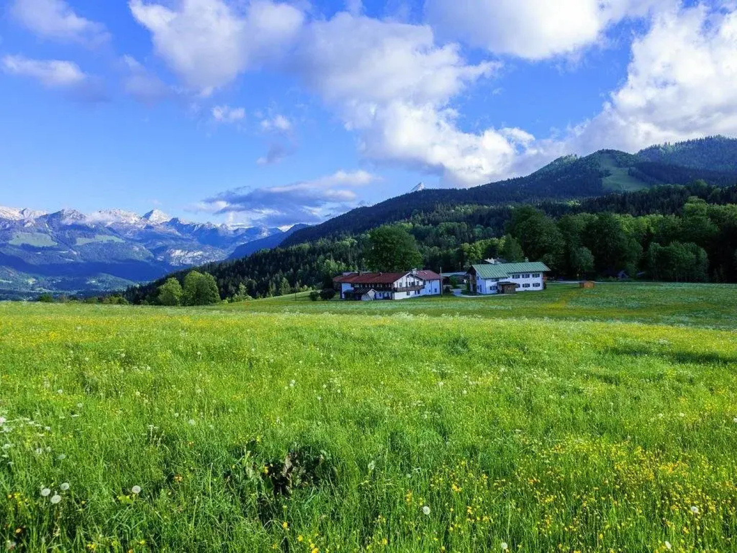 Pension Loiplstüberl