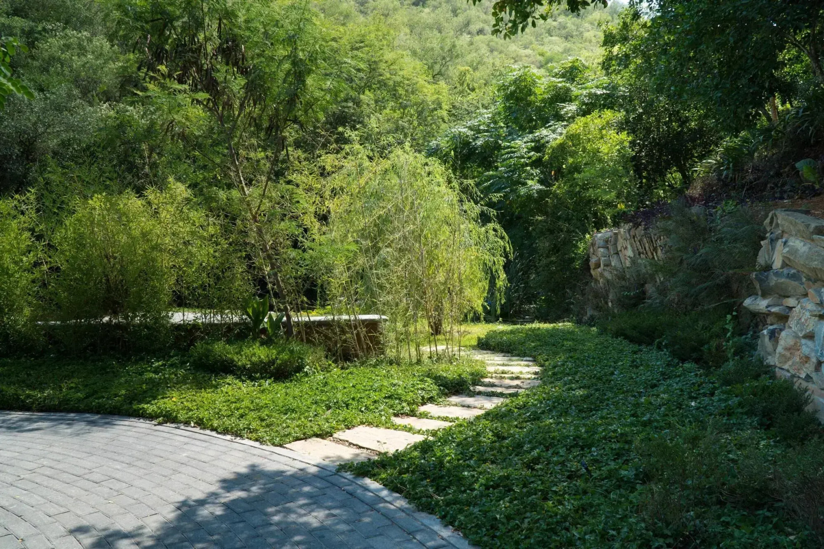 Gamma Rincón de Santiago