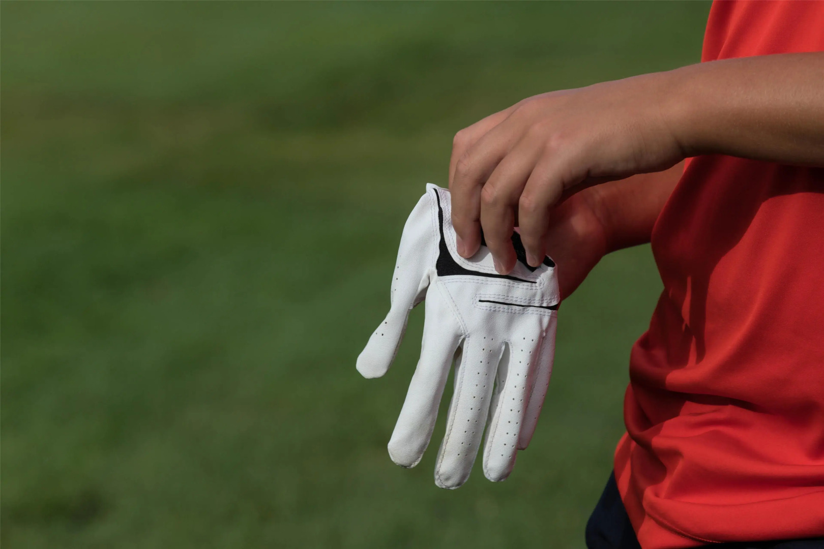 Best Western Hotel Polisina