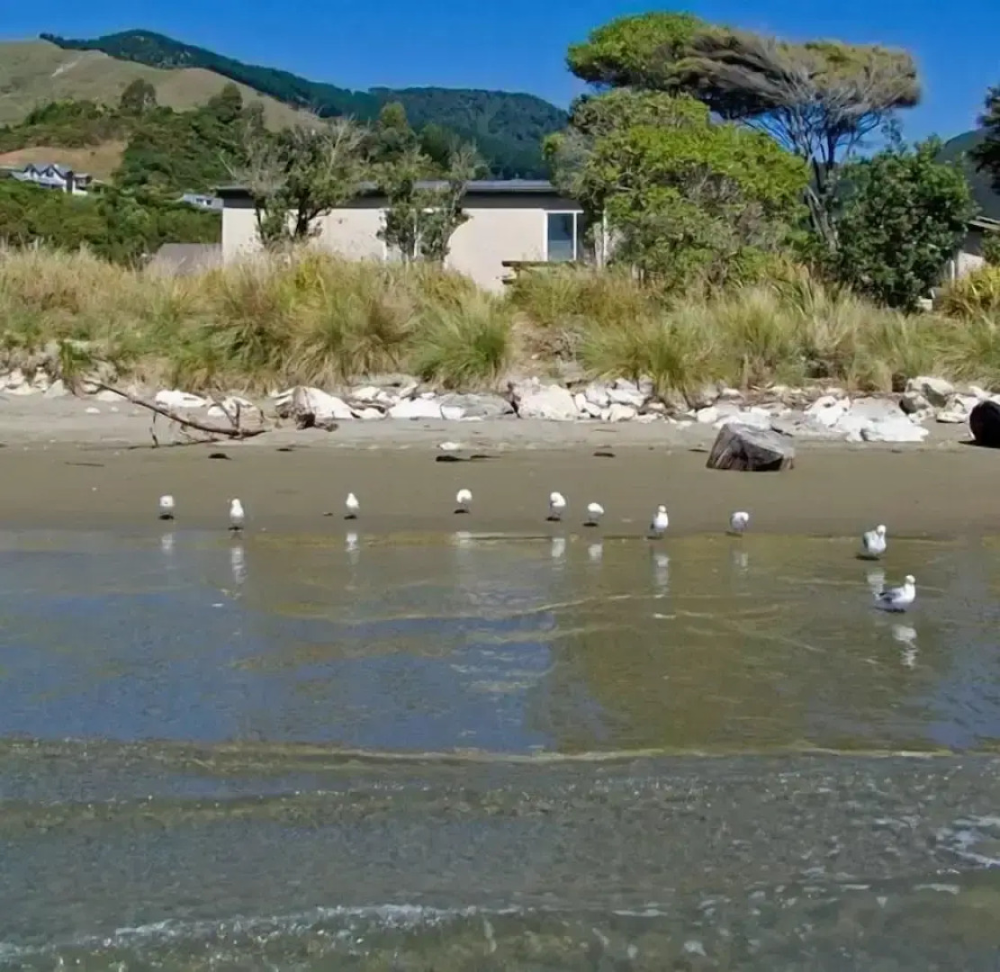 Pohara Beach Top 10 Holiday