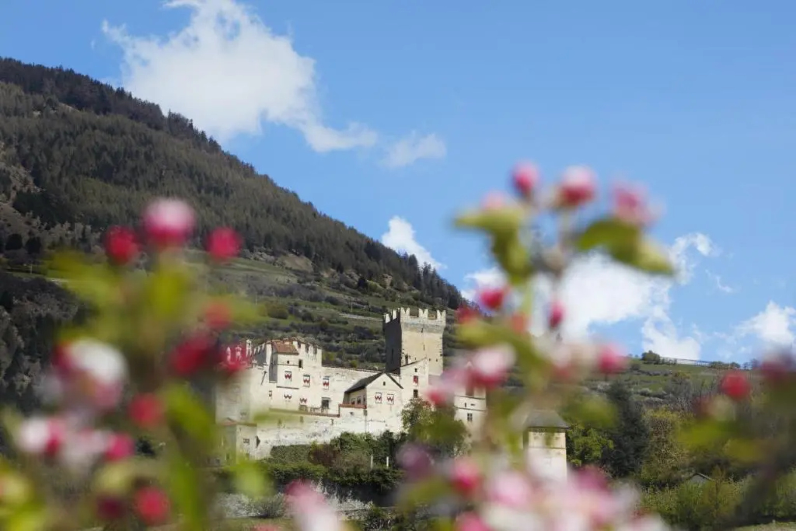 Sankt Johann Spa Suites & Apartments