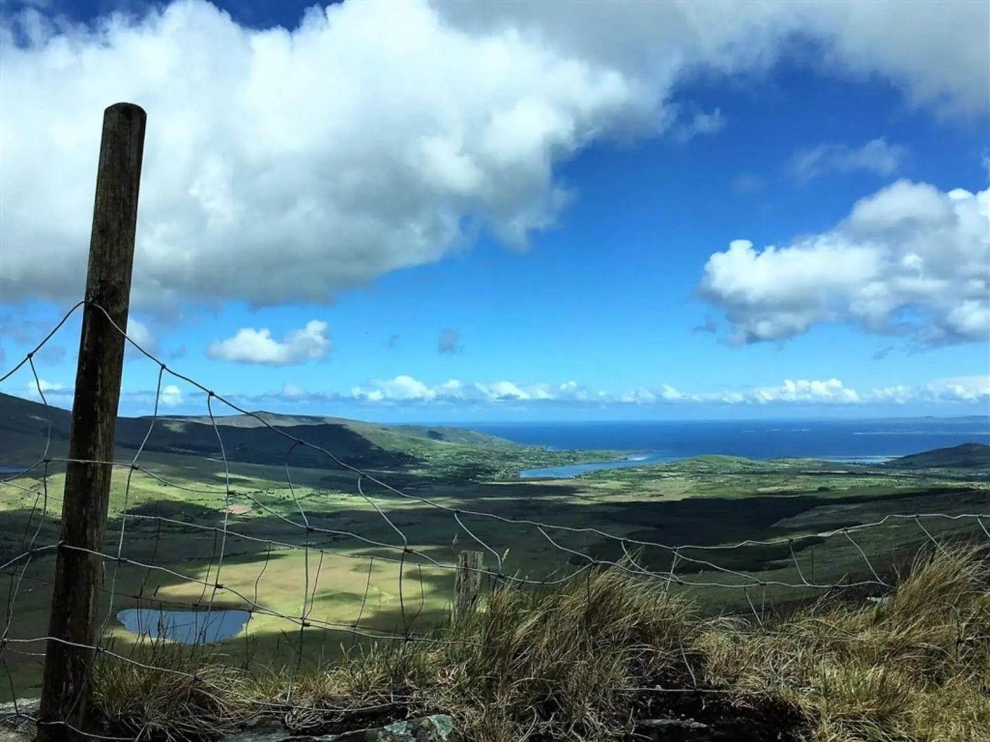 O'Connors Guesthouse