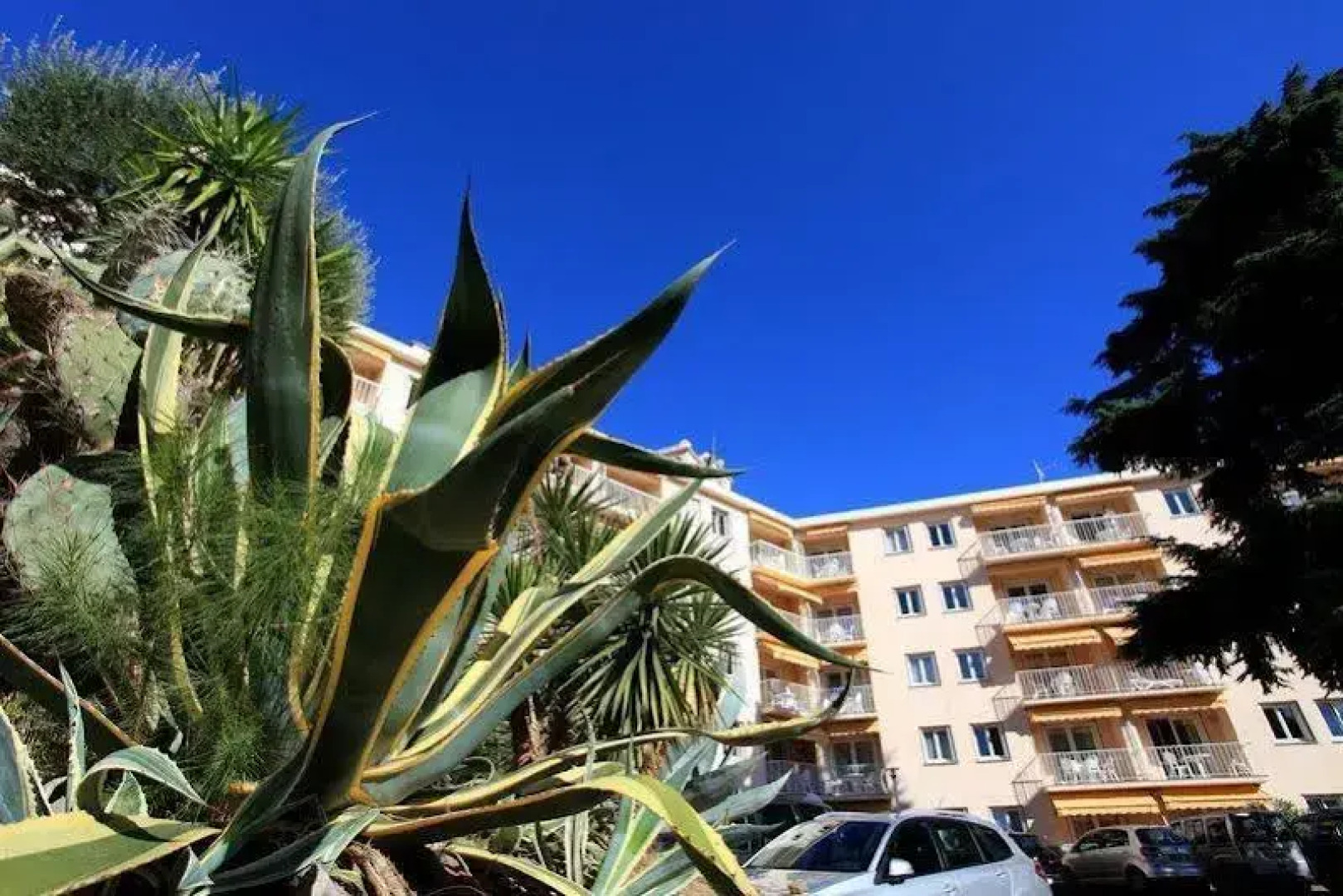 Résidence lOliveraie