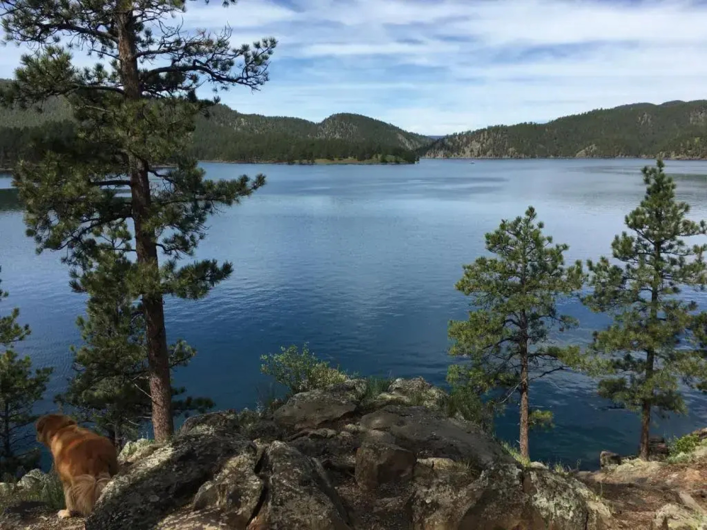 Priceless Black Hills View