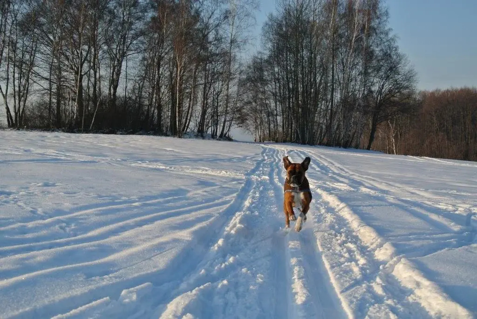 Penzion Motýlí Louka