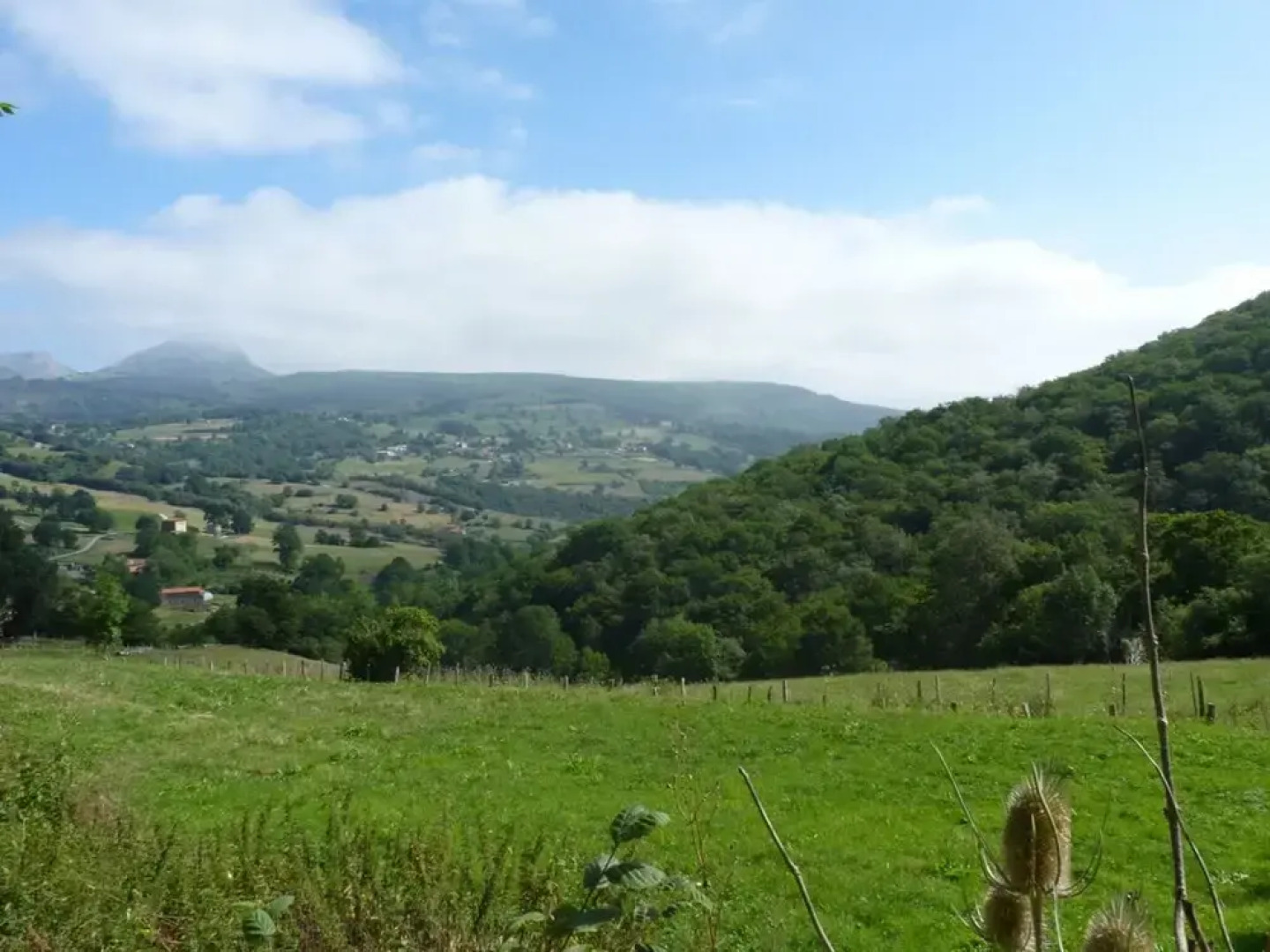 Posada La Almadreña