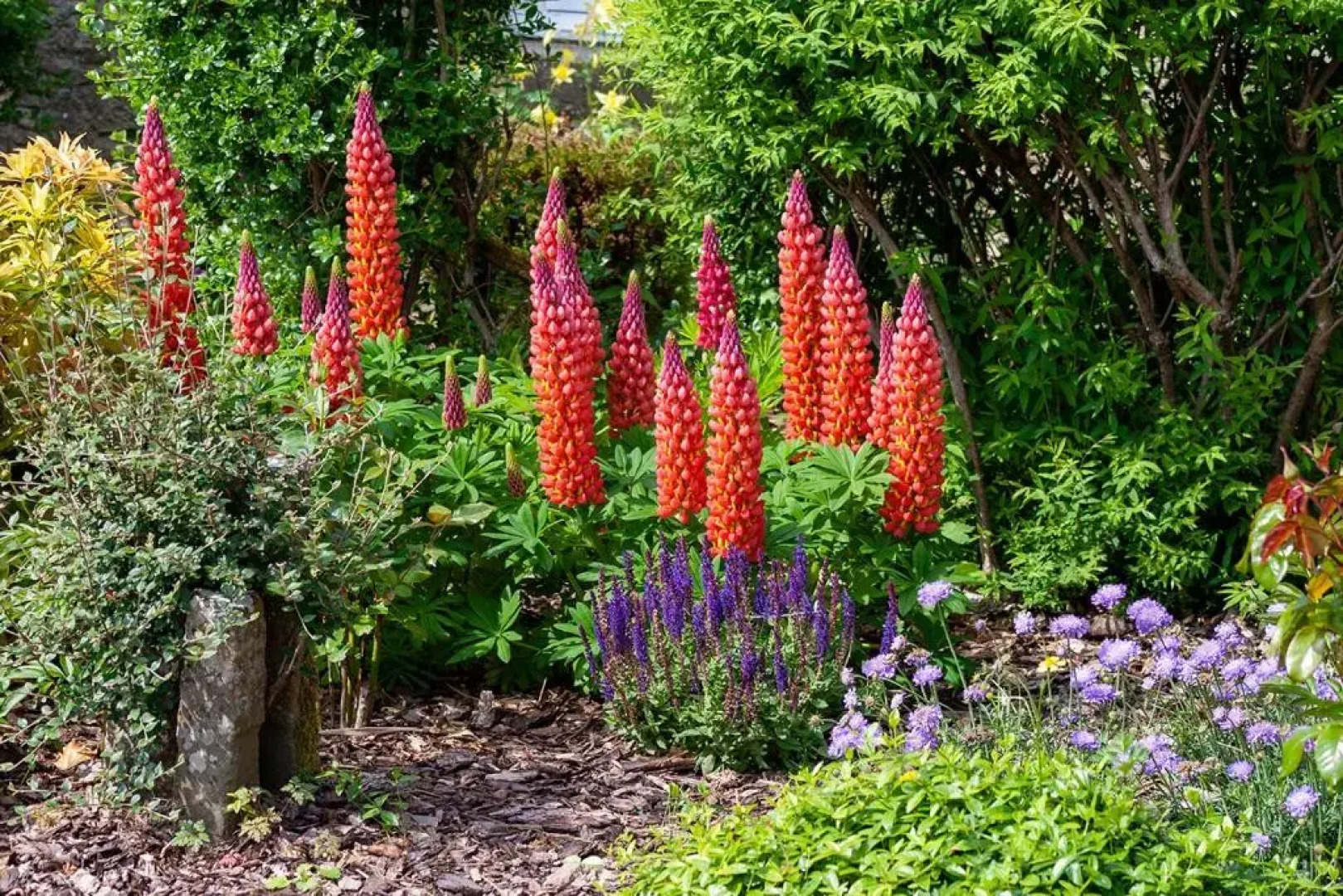 Home Farm B&B - Sunflower Room