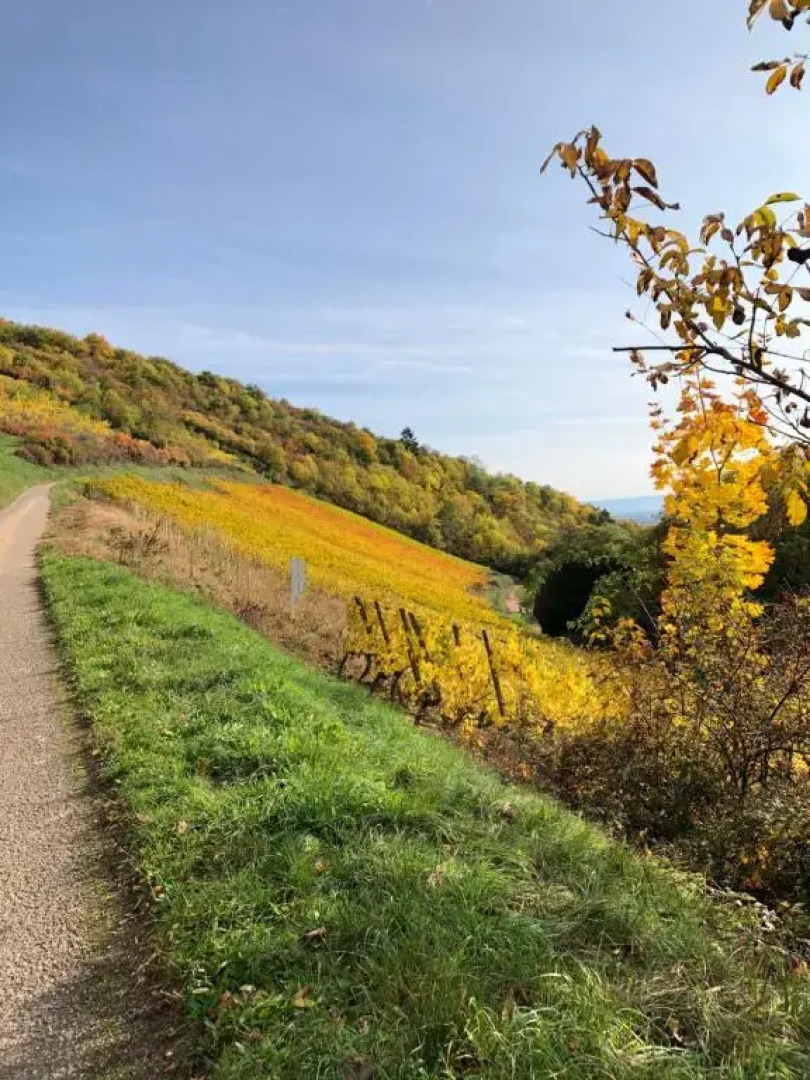 Le Gîte du Sommerberg